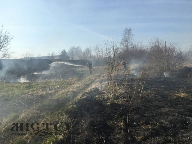 Волинь палає: невстановлені особи створюють пожежі в екосистемах 