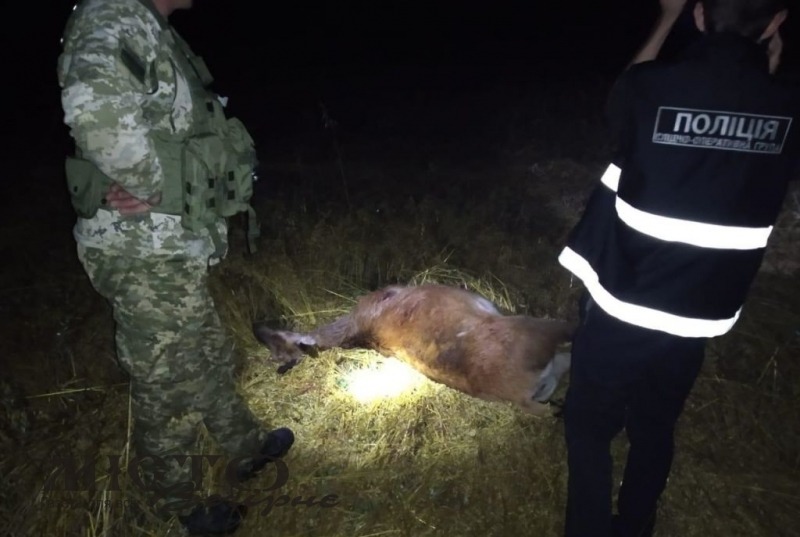 У Володимир-Волинському районі на браконьєрстві затримали директора шахти «Бужанська» 