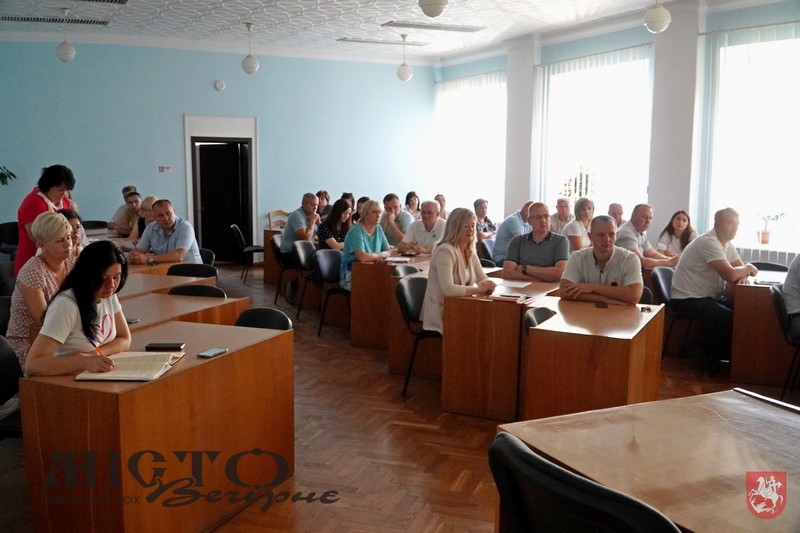 У Володимирі мають перевірити стан усіх старих зупинок 