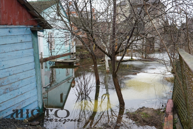 У Володимирі підняття ґрунтових вод спричинило масові підтоплення будинків 