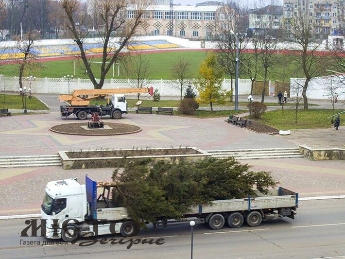 У Нововолинську святкова ялинка постоїть без прикрас 