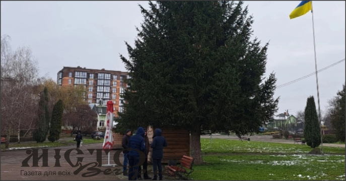 У Володимирі оголосили конкурс на організацію торгівлі в парку «Слов'янський» 