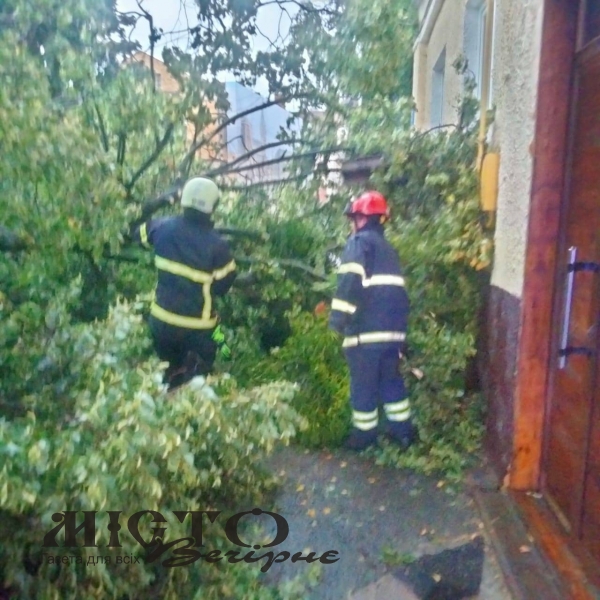 У Затурцівській громаді рятувальники ліквідували наслідки негоди 