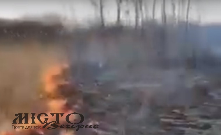 На Володимирщині горів заказник 