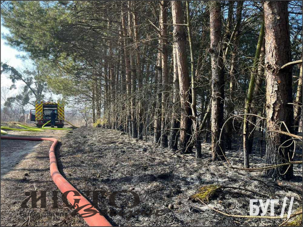 Через підпал сухої трави мало не загорівся приватний будинок у Володимирі 