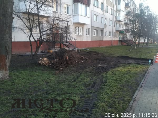 Проводили земляні роботи без дозволу: муніципали у Володимирі виявили підприємця-порушника 