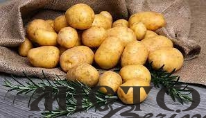 Оштрафували чоловіка, який викрав сітку картоплі у селі поблизу Володимира 