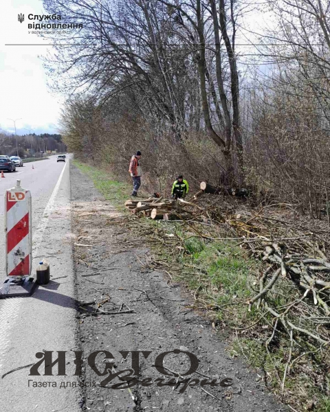 Ожеледиця і сильний вітер на Волині ускладнюють рух транспорту: водіїв закликають до обережності 