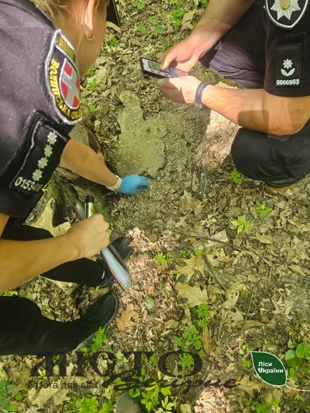 Понад 205 тисяч гривень збитків: на Волині затримали чоловіка, який незаконно рубав дерева в заказнику 