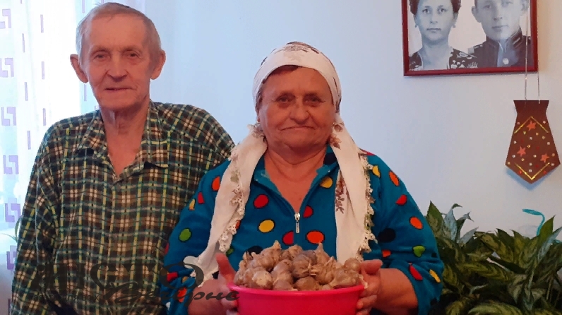 17 способів зберігання часнику від досвідченої господині 