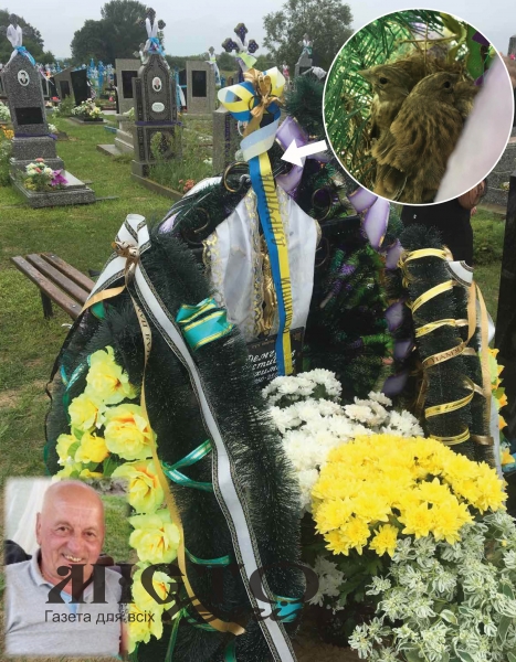 Душа дорогого чоловіка, батька і дідуся втілилася у пташечку, яка звила гніздечко на його могилі 
