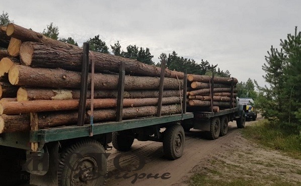 Поблизу Мовчанова зупинили вантажівку з лісом 
