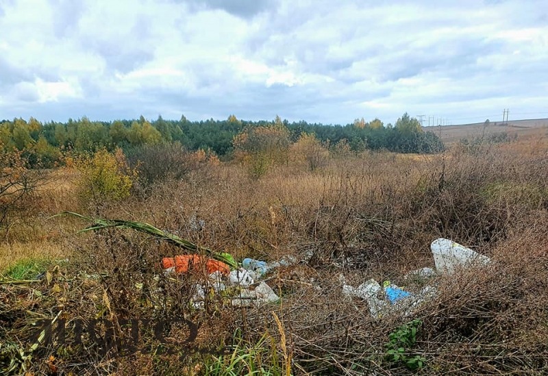 У «Волинських Карпатах» виявили два сміттєзвалища 