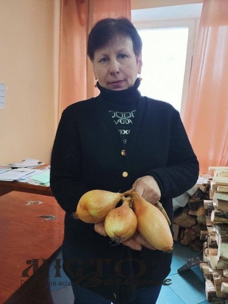 Поради щодо висадки озимого часнику та цибулі 