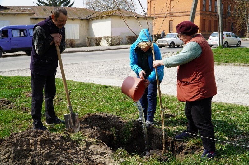 Під час загальноміської толоки висадили 11 сакур 