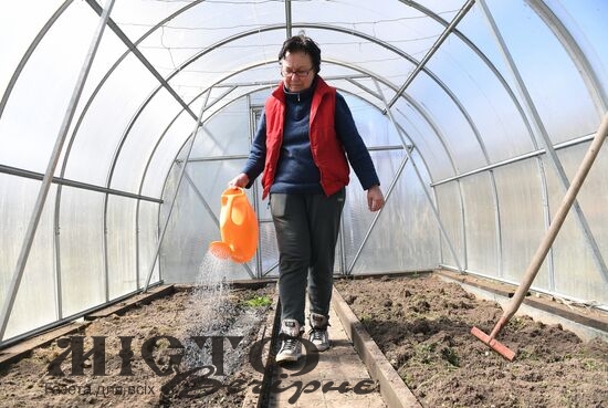 Заготівля ґрунтосуміші для теплиць і парників та підготовка інвентарю на зиму - новини Володимир-Водинського аготівля ґрунтосуміші для теплиць і парників та підготовка інвентарю на зиму