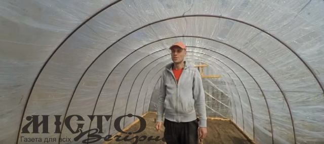 Дезінфекція ґрунту в теплиці 