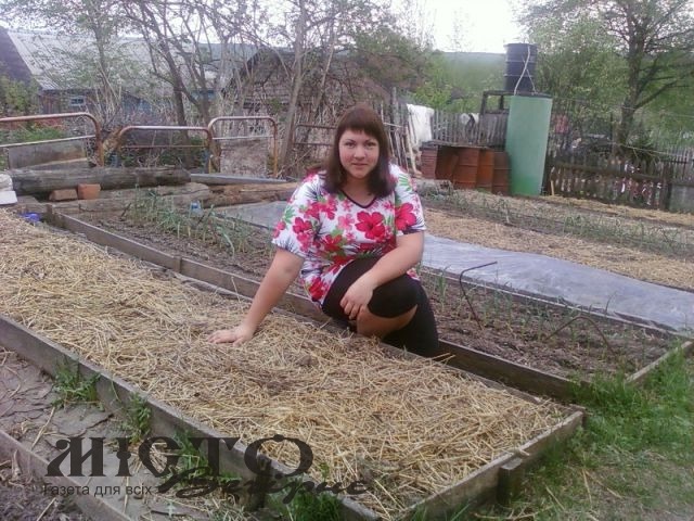 Три методи перевірки насіння на схожість 