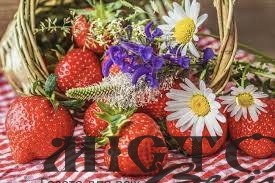 «Червень тому зелениться, хто працювати не ліниться», – народна мудрість 