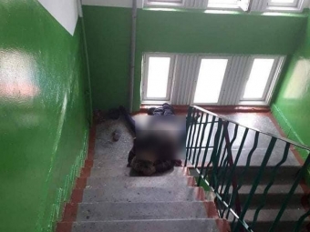 У Володимирі парочка займалася сексом прямо у під’їзді - новини Володимир-Водинського У Володимирі парочка займалася сексом прямо у під’їзді