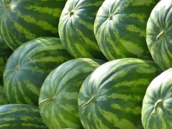 В Україні посилено охоронятимуть унікальні страви та сільгосппродукцію 