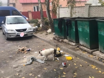 У Володимирі комунальники просять водіїв не паркувати свої авто біля майданчиків для сміття 