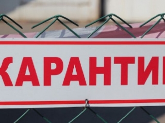 Депутати Володимирської міської ради просять поліцію відновити рейди з дотримання карантинних обмежень - новини Володимир-Водинського Депутати Володимирської міської ради просять поліцію відновити рейди з дотримання карантинних обмежень