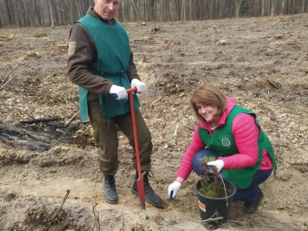 На Володимирщині висадили молоді сосни та дуби - новини Володимир-Водинського На Володимирщині висадили молоді сосни та дуби
