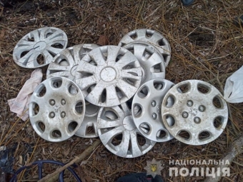 У Ковелі спіймали злочинця, який скоїв понад 10 крадіжок 