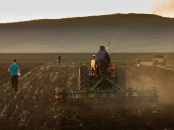 В Україні 40% земель можуть втратити родючість 