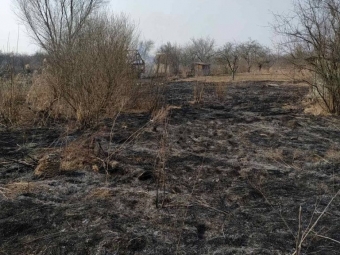 У Володимир-Волинському районі паліїв трави оштрафували на понад 3 тисячі гривень - новини Володимир-Водинського У Володимир-Волинському районі паліїв трави оштрафували на понад 3 тисячі гривень