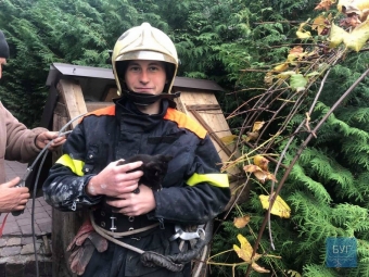 У Володимирі рятувальники з колодязя дістали кошеня - новини Володимир-Водинського У Володимирі рятувальники з колодязя дістали кошеня