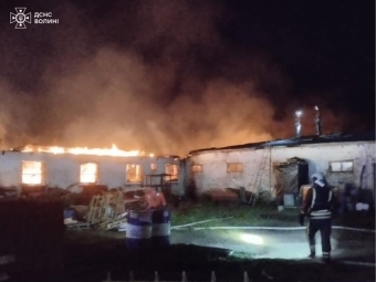 Горів корівник та свинарник: на фермі у Литовезькій громаді виникла пожежа 