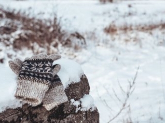 Релігійна жінка у лютий мороз завела голими в ліс трьох дітей 