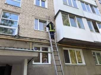 У Володимирі рятувальники знищили рій диких бджіл, які оселилися на стіні багатоповерхівки 