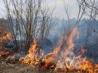 У квітні 32 жителя Володимир-Волинського району порушили екологічне законодавство 