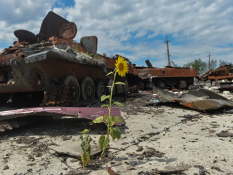 Екологічні збитки від війни перевищили сім трильйонів гривень: за тиждень сума зросла ще на 51,9 мільярда 