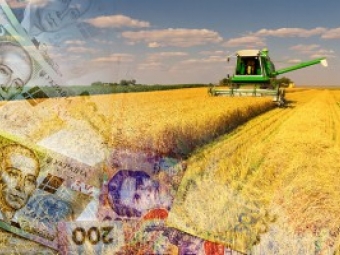 Україна залишається в п’ятірці найбільших експортерів сільськогосподарської продукції до ЄС - новини Володимир-Водинського Україна залишається в п’ятірці найбільших експортерів сільськогосподарської продукції до ЄС