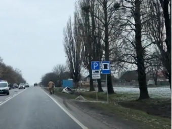 На виїзді з Нововолинська аварія – дві автівки злетіли у кювет - новини Володимир-Водинського На виїзді з Нововолинська аварія – дві автівки злетіли у кювет