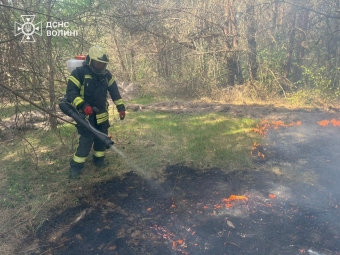 Пожежа через недопалок: у Володимирському районі горіло 1,3 га лісу 