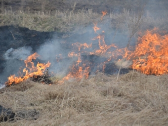 В Устилузькій громаді загасили горіння сухої трави 