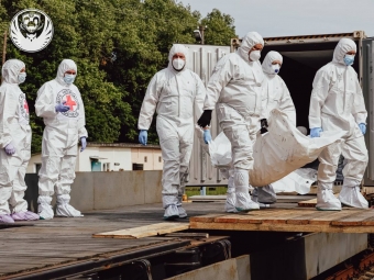 Черговий етап репатріаційних заходів: в Україну повернули 1200 тіл - новини Володимир-Водинського Черговий етап репатріаційних заходів: в Україну повернули 1200 тіл