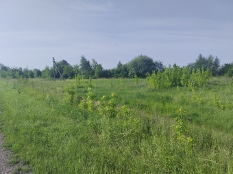 Литовезька громада продає за пів мільйона комунальну землю 