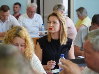 У Володимирській міській раді ухвалили рішення щодо землі на вулиці Луцькій для сонячних станцій 