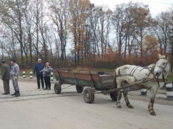 Під Ковелем визволили з пастки коня, що застряг між коліями 