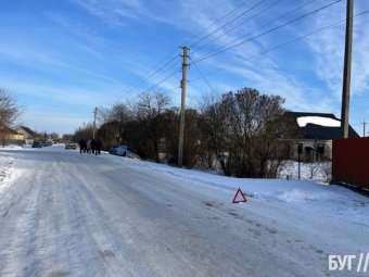 У Зимнівській громаді два автомобілі злетіли у кювет - новини Володимир-Водинського У Зимнівській громаді два автомобілі злетіли у кювет