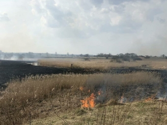 У Зимному горів очерет 