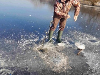 У Володимирському районі врятували птаха, який потрапив у браконьєрські сітки 