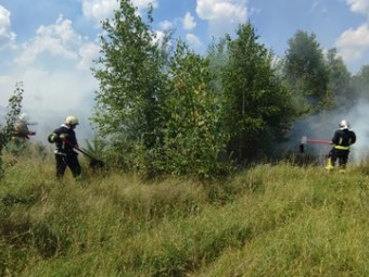 У Володимирській громаді горіла суха трава 