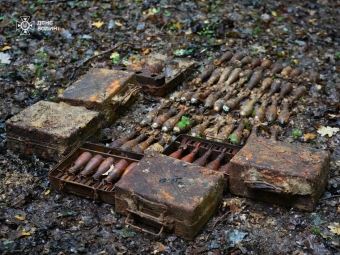 На Волині знайшли майже сотню боєприпасів часів Другої світової  